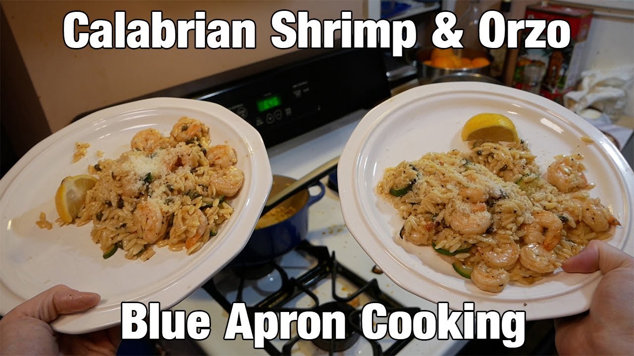 Two plates pictured with a shrimp and pasta dish